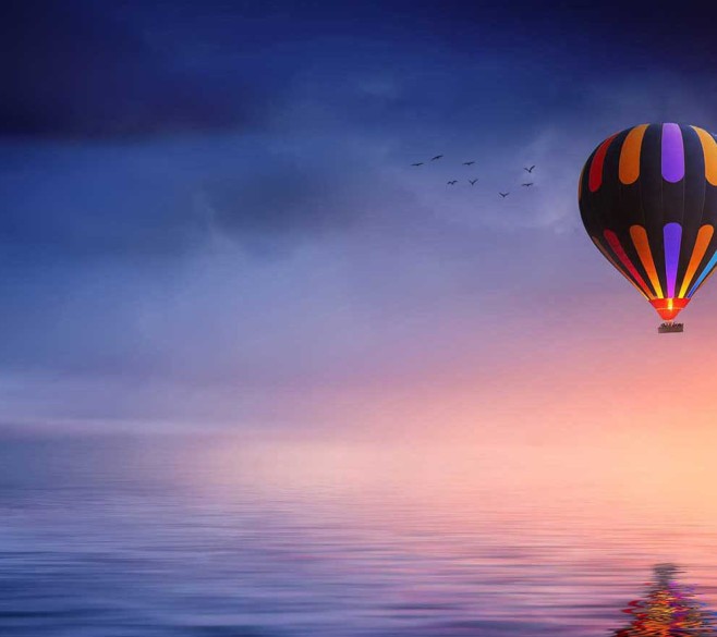 Test Ad as Selling Décor Plant